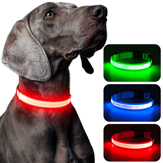 🔦 LED Dog Collar – USB Rechargeable, High Visibility for Night Walks